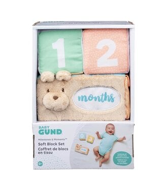 Gund Milestones Moments Block Set