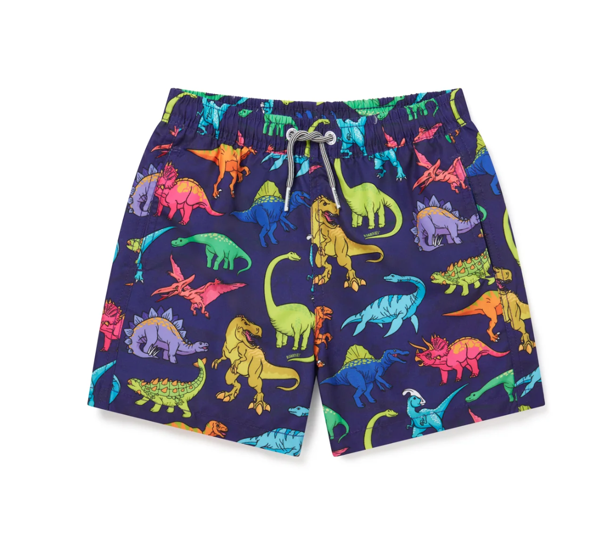 Boardies Vibrant Dino Swim Shorts Boardies Vibrant Dino Swim Shorts