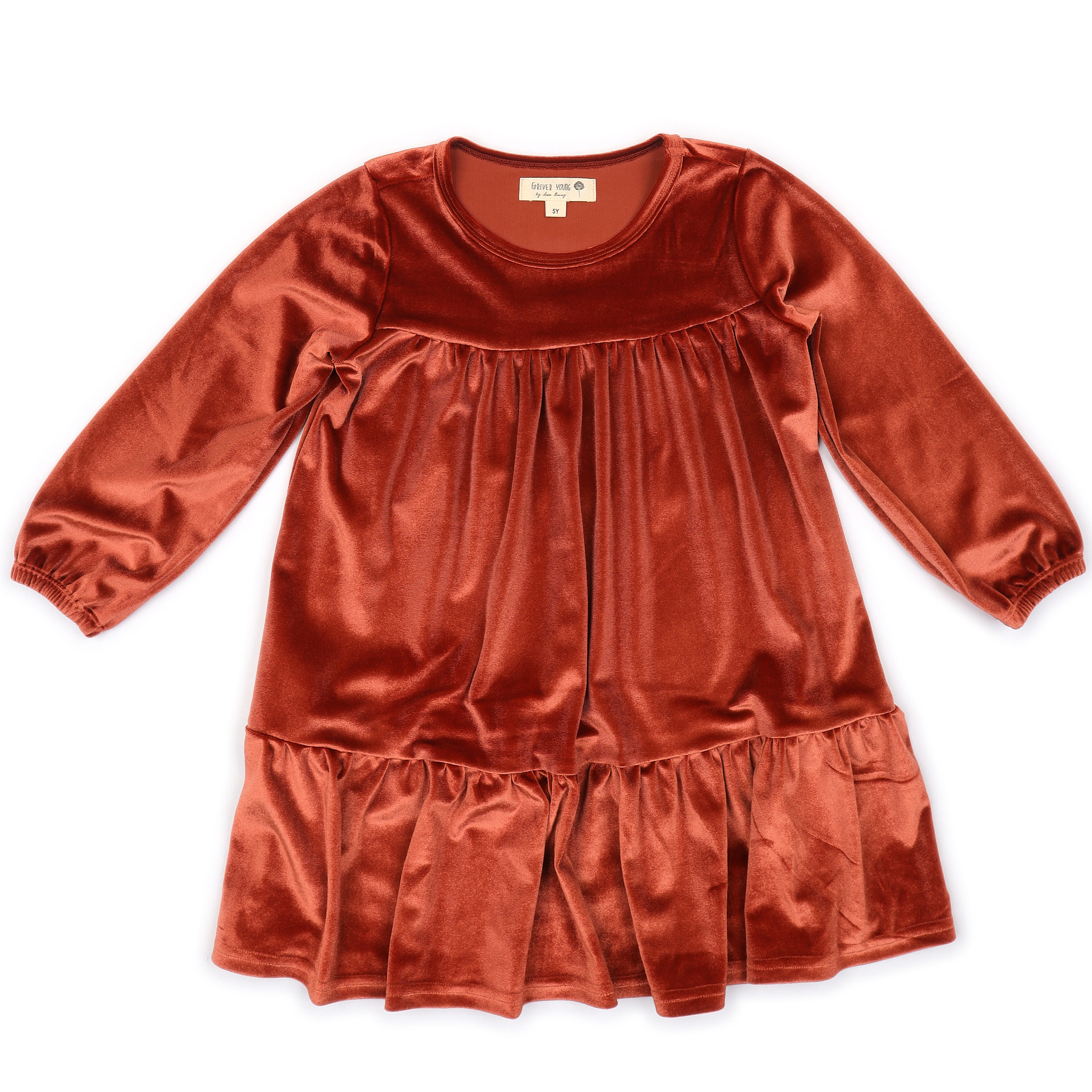 Forever Young Copper Velvet Dress