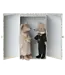 Wedding mice couple in box