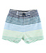 Coastal Stripe Swim Trunks