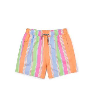 Citrus Stripe Swim Shorts