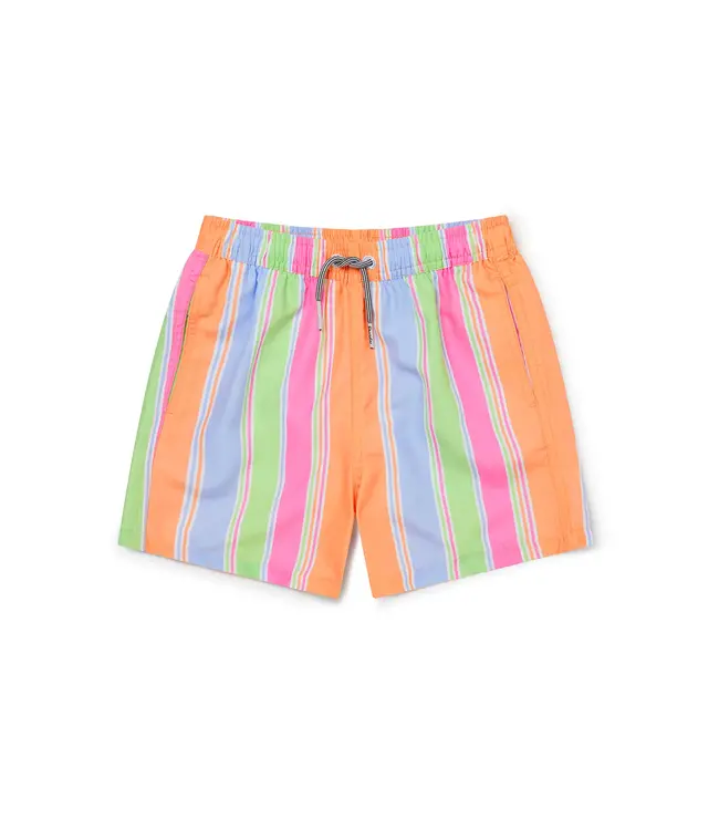 Citrus Stripe Swim Shorts
