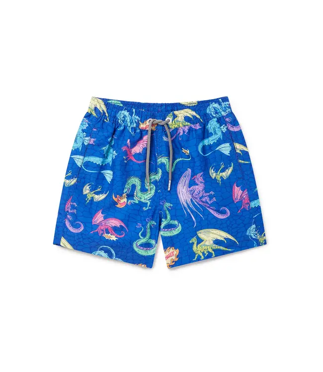 Dragons Swim Shorts
