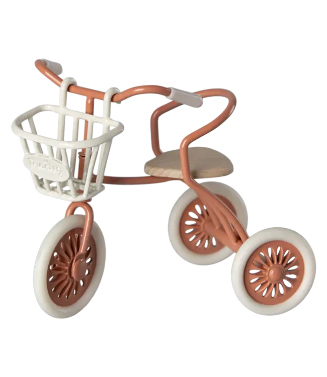 Tricycle Basket