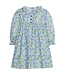 Little English Leland Floral Pleated Caroline Dress