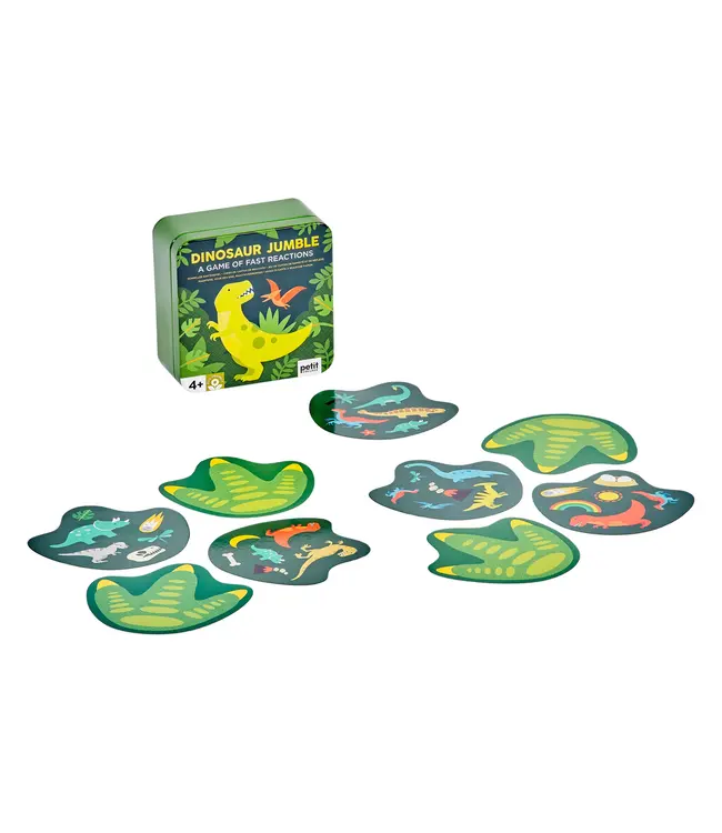 hachette book group Dinosaur Jumble