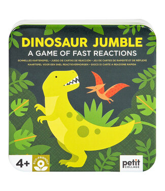 hachette book group Dinosaur Jumble