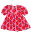 Pink Chicken Pink Apple Rowan Dress