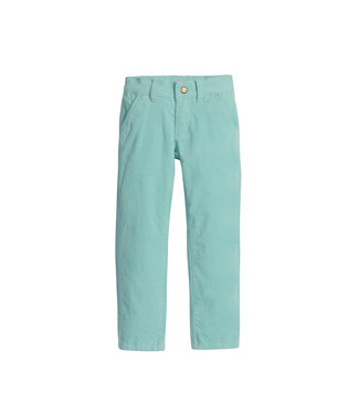 Bisby Aqua Velvet Twiggy Pant