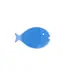 Innobaby Silicone Mini Fish Scrub