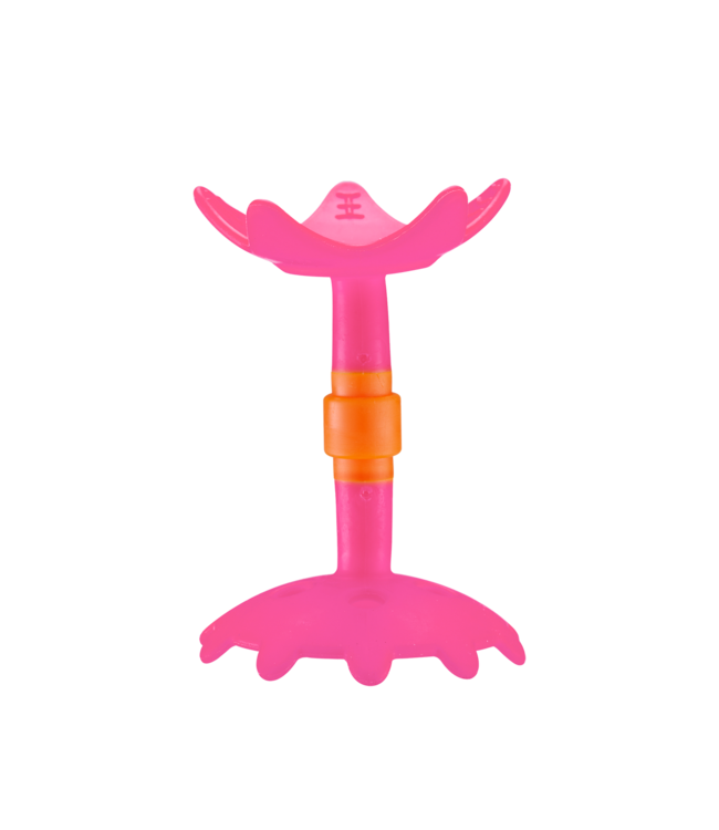 Innobaby Star EZ Grip Massaging Teether