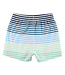 Ruffle Butts Coastal Stripe Swim Trunks