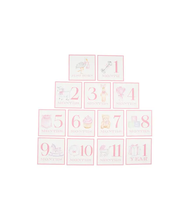Palm Beach Pink Sir Proper's Month Markers
