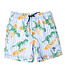 Shade Critters Hang Ten Dino Swim Trunks