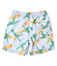 Shade Critters Hang Ten Dino Swim Trunks