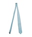 Western NC Benefit Tie