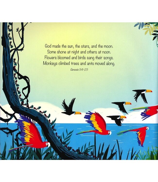 HarperCollins Gods Great Plan Storybook