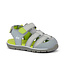 Wilder II - Gray