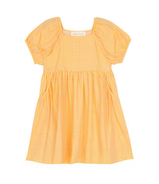 Mabel and Honey Yellow Pink Lemonade Dress