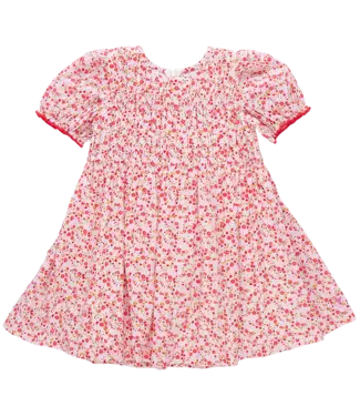 Pink Chicken Pink Mini Ditsy Waverly Dress