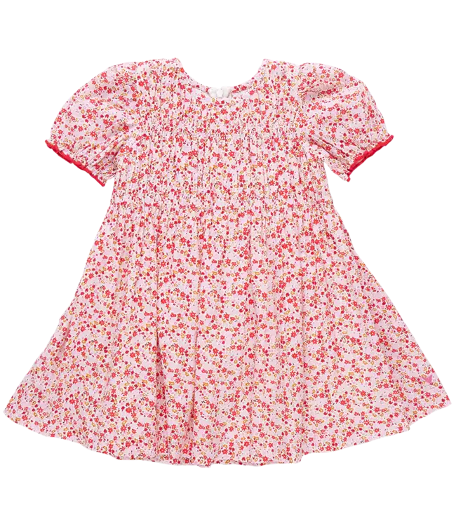 Pink Chicken Pink Mini Ditsy Waverly Dress