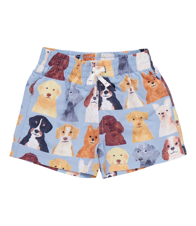 Pink Chicken Lt. Blue Watercolor Dogs Swim Trunks