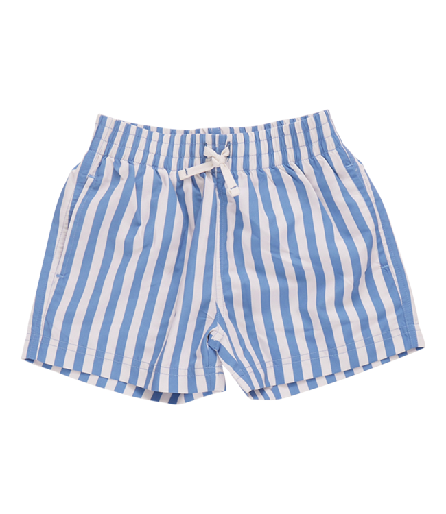 Pink Chicken Blue Stripe Swim Trunks