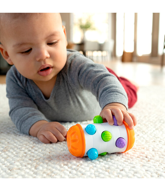 Fat Brain Toy Co Rolio