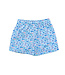Saltwater Boys Co. Saint Simons Lures Swim Trunk