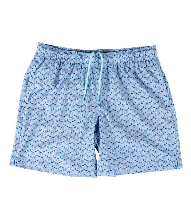 Southern Point Co. Lt. Blue Greyton Patterned Trunk