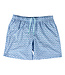 Southern Point Co. Lt. Blue Greyton Patterned Trunk