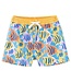 chubbies Bright Blue The Fish Tanks Swim Trunks