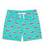 chubbies Mint Apex Swimmers Swim Trunks