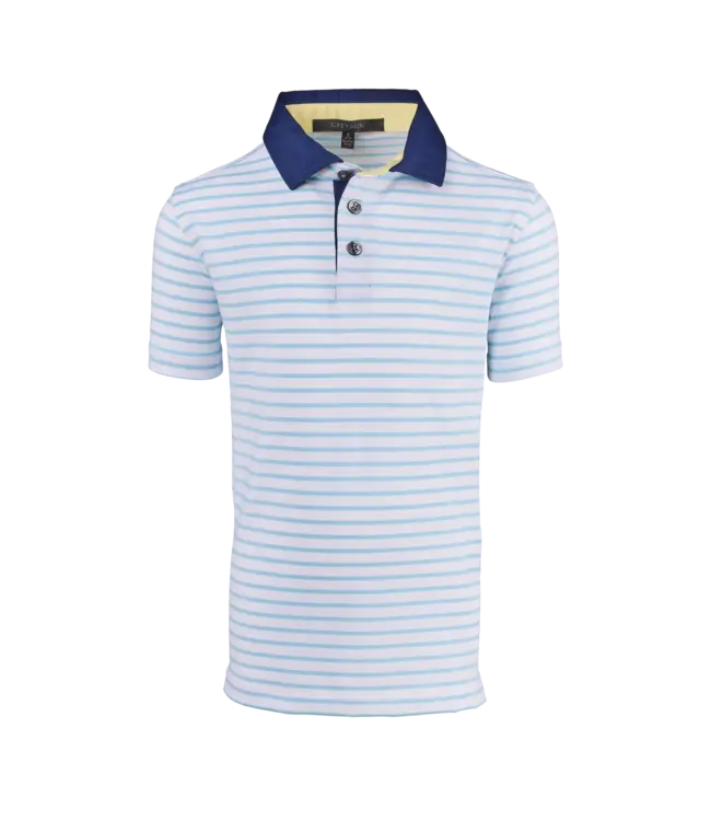 Greyson Arctic/Topaz Torrey Polo