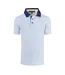 Greyson Arctic/Topaz Torrey Polo