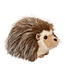 Douglas Bristle Hedgehog