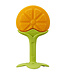 Innobaby Fruit EZ Grip Massaging Teether