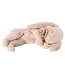 Maileg Sleeping Bunny Plush, Small-Powder