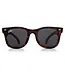 WeeFarers Polarized WeeFarers