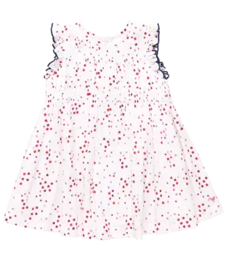Pink Chicken Red Ditsy Star Waverly Dress