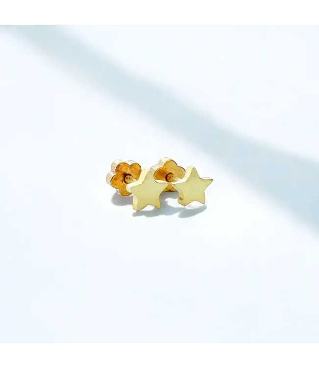 Tiny Stud Earrings