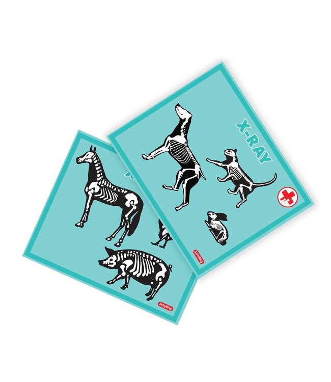 Schylling Toys Veterinarian Kit