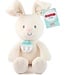 Flora the Bunny