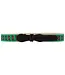 Bailey Boys Belt