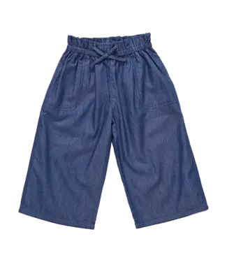 Pink Chicken Chambray Theodore Pant