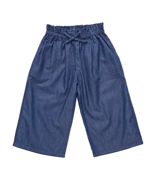 Pink Chicken Chambray Theodore Pant