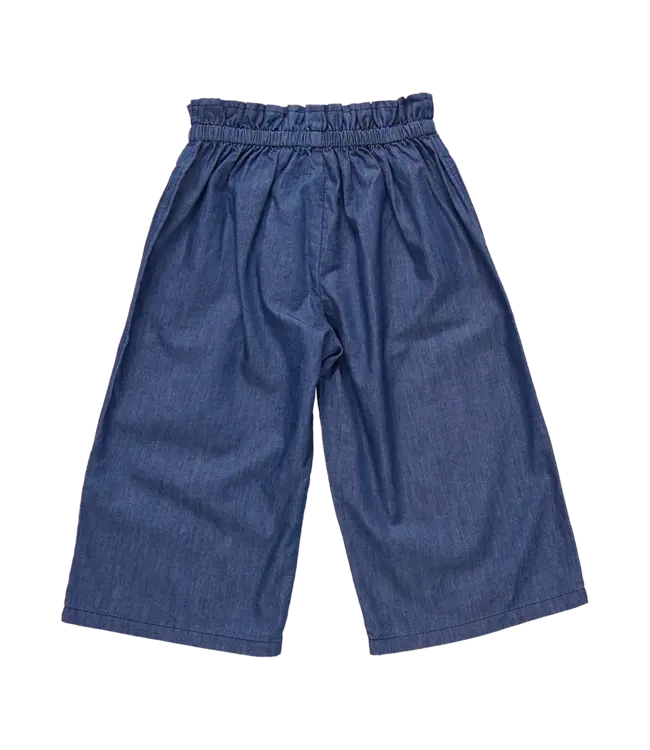 Pink Chicken Chambray Theodore Pant