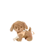 Olliella Dinkum Dogs