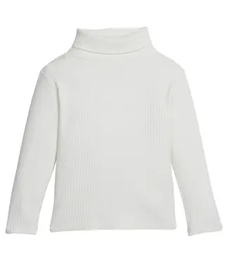 Bisby Ivory Ribbed Turtleneck